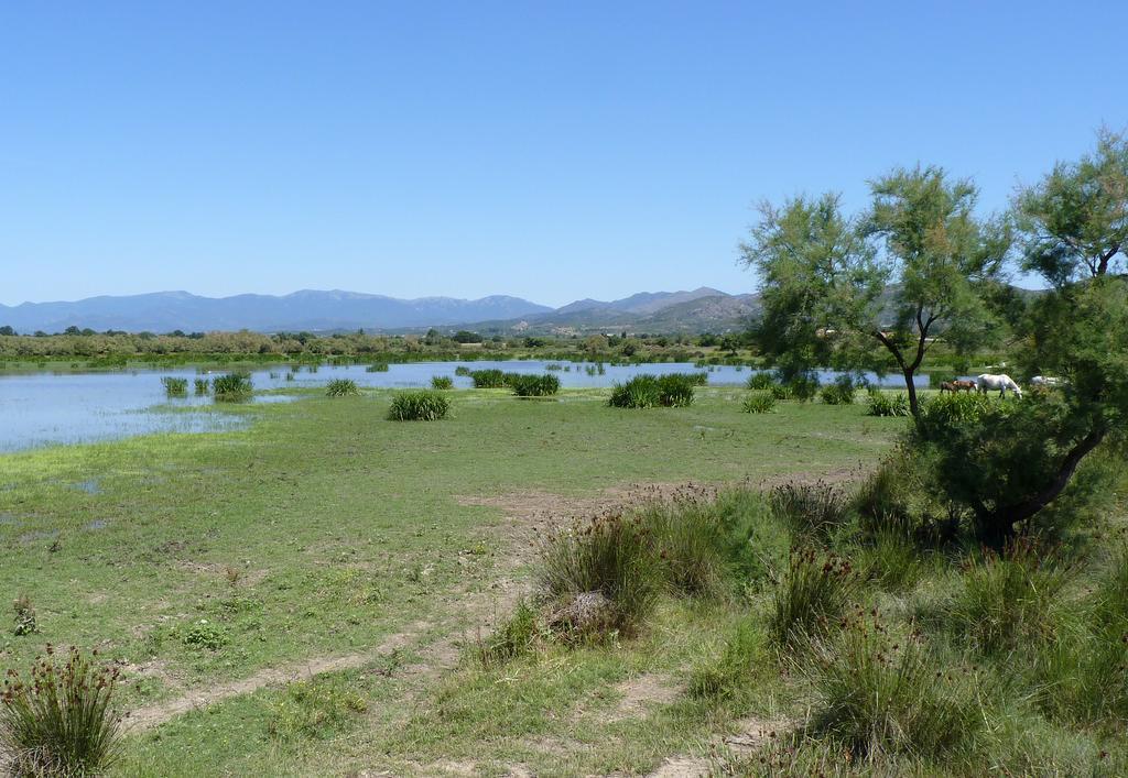 Hotel Can Ceret Sant Pere Pescador Εξωτερικό φωτογραφία